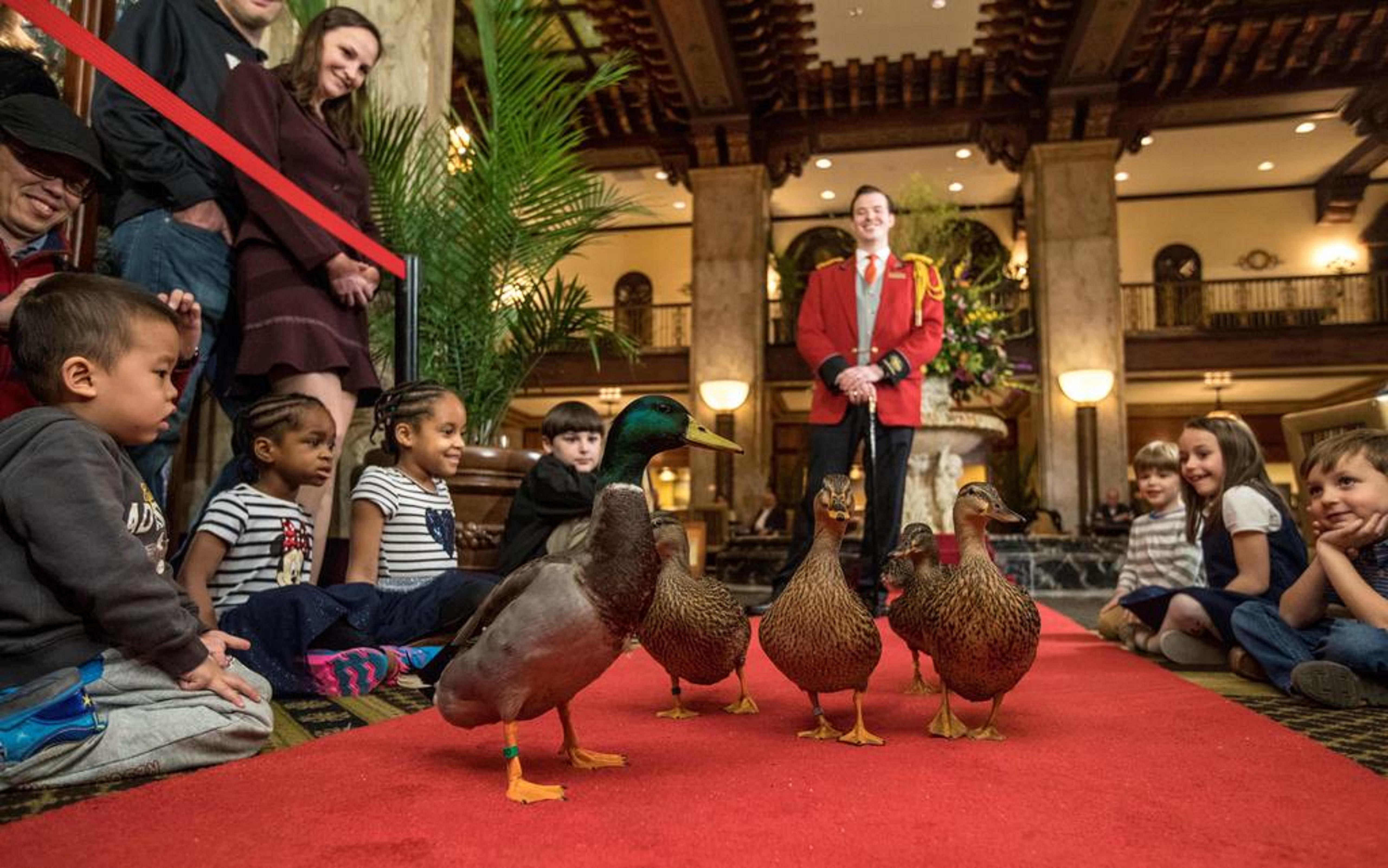 Peabody Memphis Hotel Ngoại thất bức ảnh